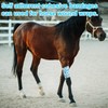 Bandage Wrap, 12Pcs Sweatproof and Waterproof Cute Vet Wrap, Elastic