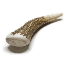Kazuno-san Ezo Deer Antler Uncracked (Tip), For Small Dogs, 1 Piece, Made in Hokkaido, Natural, Additive-free, Ozone Treated, Dog Toy, Dental Care