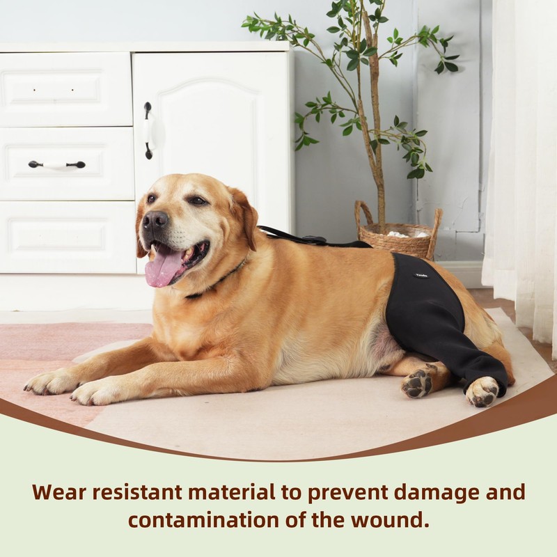 Dog Recovery Sleeve Back Leg Breathable Material,Dog Leg Sleeve to
