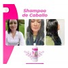 Mujer Perfecta Shampoo Crece Abundante