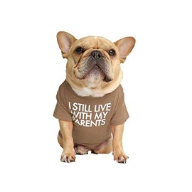 T-Shirt for Dogs with the Saying: Ich wohne noch bei Meinen Eltern (Khaki, M)