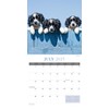 Puppy Love 2025 Large Wall Calendar, by Fresh Publishing, Size