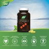 NutraSea NutraSea Dha 2X Concentrated Fresh Mint Health Supplement 60