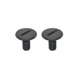 Lead Industry BC-10B Motorcycle Helmet Option Screws (Set of 2) for RX-300R / RX-100R / QP-2 / BC-10 / AP-603 / CR-760 /O-ONE