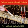 Queen Bee Grafting Tool, Beekeeping Grafting Tool, 10 Pieces Beekeeping