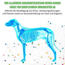 V-POINT Flora Aktiv für Hunde zur Unterstützung bei Durchfall Blähungen Verdauungsprobleme Verstopfung Koliken Magenprobleme Aufbau der Darmflora Darmsanierung natürliches Kräuterpulver (250 g)