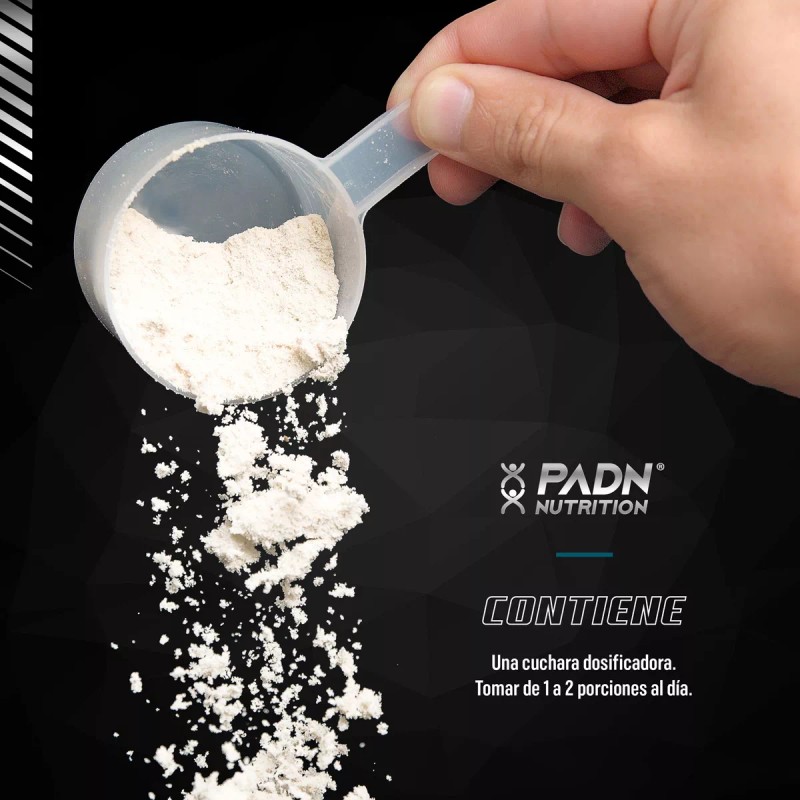 Padn Nutrition Creatina Monohidratada Polvo 300g Sabor Sin Sabor