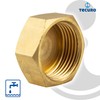 Cap with Hexagonal Brass Stainless Steel Internal Thread 1/4 Inch