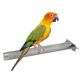Hypeety Bird Parrot Stainless Steel Stand Perch Rod Bird Grinding Claws Parrot Scratching Stick Perch for Conure Cockatiel Parakeet Cage Accessories Exercise Stand (M: 8.84 * 0.86 inch)