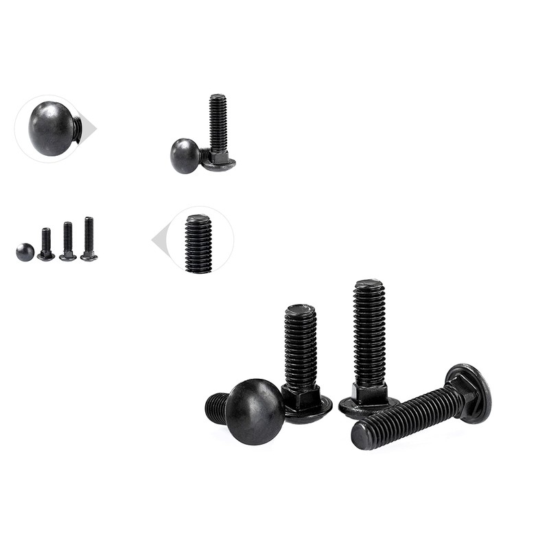 LBY 10 Sets Carriage Bolts Screws Assortment Kit, 5/16-18 x