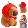 SGZIOO Capybara Cuddly Toy, 25 cm Super Soft Capybara Plush