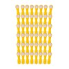 48 Clothes Pegs Laundry Clips with Stainless Steel Compression Springs