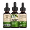 Amazing Botanicals Akuamma 100X Extract Tincture 300,000 mg