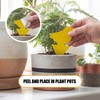 ByeFly Fruit Fly & Gnat Traps 30 Pack - Non-Toxic