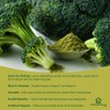 UKHealthHouse Broccoli Powder | Contains Activated Sulforaphane Supplement | Potent