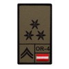 Café Viereck ® Train Leader Austria - Bundesheer Rank Patch