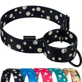 CollarDirect Martingale Collars for Dogs Heavy Duty Floral Female Safety Nylon Training Wide Collar Floral Design (Black Daisy, 19-24")