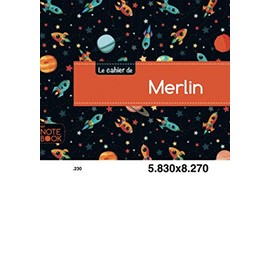 Le cahier de merlin: Cahier merlin - Blanc,96p,A5 - Espace