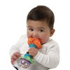 Playgro Rattle Super Shaker, from 3 Months, Multicoloured