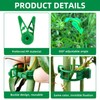 EOWVISN 40Pcs Plant Stem Training Clips And 10Pcs Vine Retaining