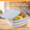 Bento Lunch Box for Kids and Adults – 3-Pcs Large