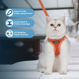 Voyager Step-in Air Cat Leash Harness Set - All Weather Mesh, Step in Vest Harness for Small and Large Cats by Best Pet Supplies - Orange, M (Chest 15-17")