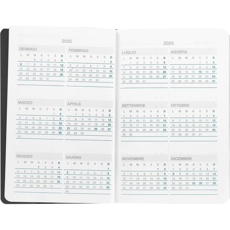 Comix Luxury, Medium - Weekly Planner 2025 12 Months with