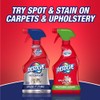 Resolve Carpet Steam Cleaner Solution, 22 fl oz Bottle, 2X