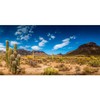 AWERT 30x18 inches Reptile Habitat Background Blue Sky Oasis Cactus