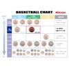 TA Sport BQC1000 Fiba Approved Basketball, Size 6