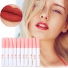 Brillo De Labios Mate Antiadherente Para Regalar, 10 Juegos Rosa