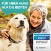 Joint Tablets for Dogs, Made in Germany with Green-Lipped Mussel,