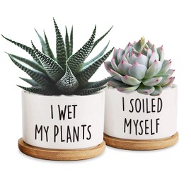 DOFAFALA 2 Pieces I Wet My Plants/I Soiled Myself Funny 3.5 inch Ceramic Flower Planter Pot with Bamboo Tray, Home Kitchen Office Decor Housewarming Gift Women, Friends, Coworker