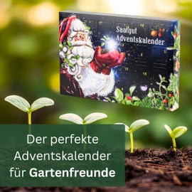 Meine Orangerie - Seeds Advent Calendar 2024 - 24 Surprises with Vegetable, Flower and Herb Seeds Including Mini Greenhouse, Plant Stake and Soil