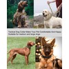 Tactical Dog Collar with Bungee Dog Leash Adjustable Dog Collar
