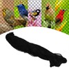 Black Anti Bird Netting Plant Tree Vegetables Protective Nylon Netting