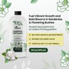 16oz Gardenia Fertilizer - Makes 96 Gallons of Indoor Plant