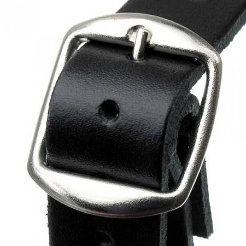 Collar with Skull & Bones designs