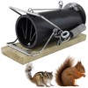 Squirrel Traps Outdoor - Squirrel Traps - Ouell Traps -