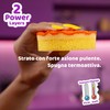 Vileda, Punch, Set da 4 Spugne Cucina | Quattro Spugne.