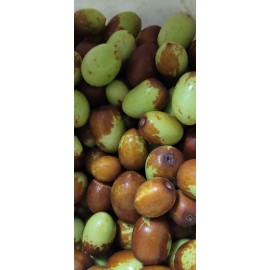 Fresh 12 seeds JUJUBE  chinese dates  seeds tasty ORGANIC ,fresh seeds Only