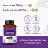 Herb Essential Organic Jamun Seed Tablets - 500 mg (60