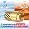 Brass Foot Valve 3/4 inch NPT Heavy Duty Spring Mesh