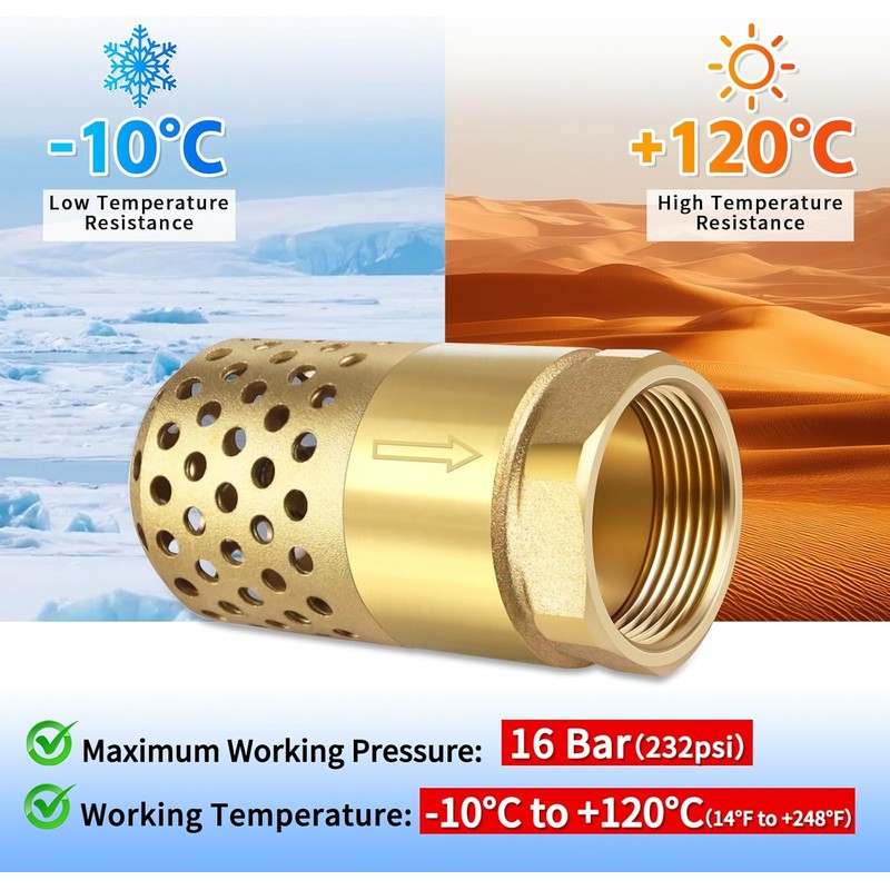 Brass Foot Valve 3/4 inch NPT Heavy Duty Spring Mesh