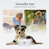 PAWGETHER Stainless Steel Dog Bowls, Dog Food and Water Bowl