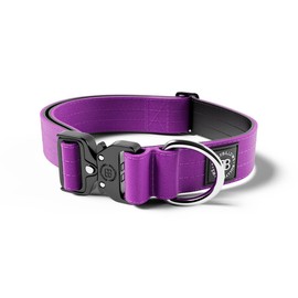 BullyBillows 4cm Combat® Dog Collar v2.0 | Heavy-Duty Design with Rated Clip | NO HANDLE | Neoprene Lined for Comfort | Purple | Medium | Adjustable Size 14"-21" (35cm-54cm)