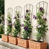 Thealyn 56" Tall Metal Plant Trellis, Climbing Plant Support, 4