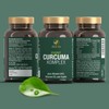Turmeric Complex 400 – High Dosiertes Curcuma (Turmeric) in Premium