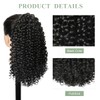 Halcyon Drawstring Ponytail Extension for Black Women 14” Drawstring Curly