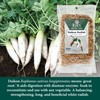 Eden Daikon Radish, Sun Dried and Finely Sliced, Traditionally Made